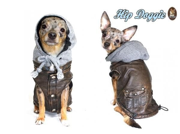 The Vintage Aviator — Bomber Dog Jacket