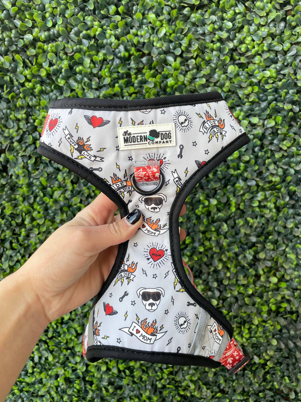 Bad to the Bone — Adjustable Dog Harness