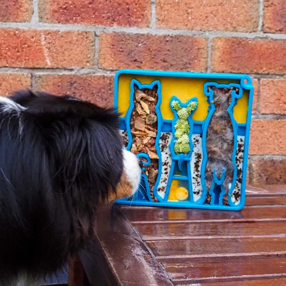 Waiting Dogs eTray Shallow Slow Feeder Bowl