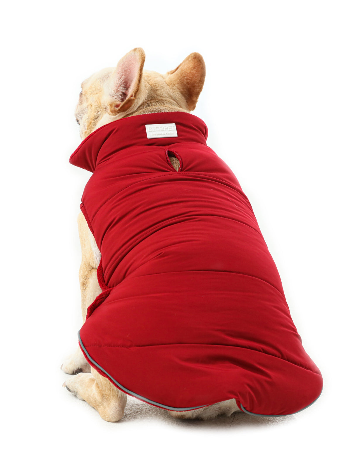 The Scarlet Rambler Reversible Dog Vest