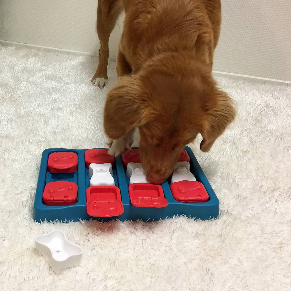 Nina Ottosson Dog Brick Treat Puzzle — Blue