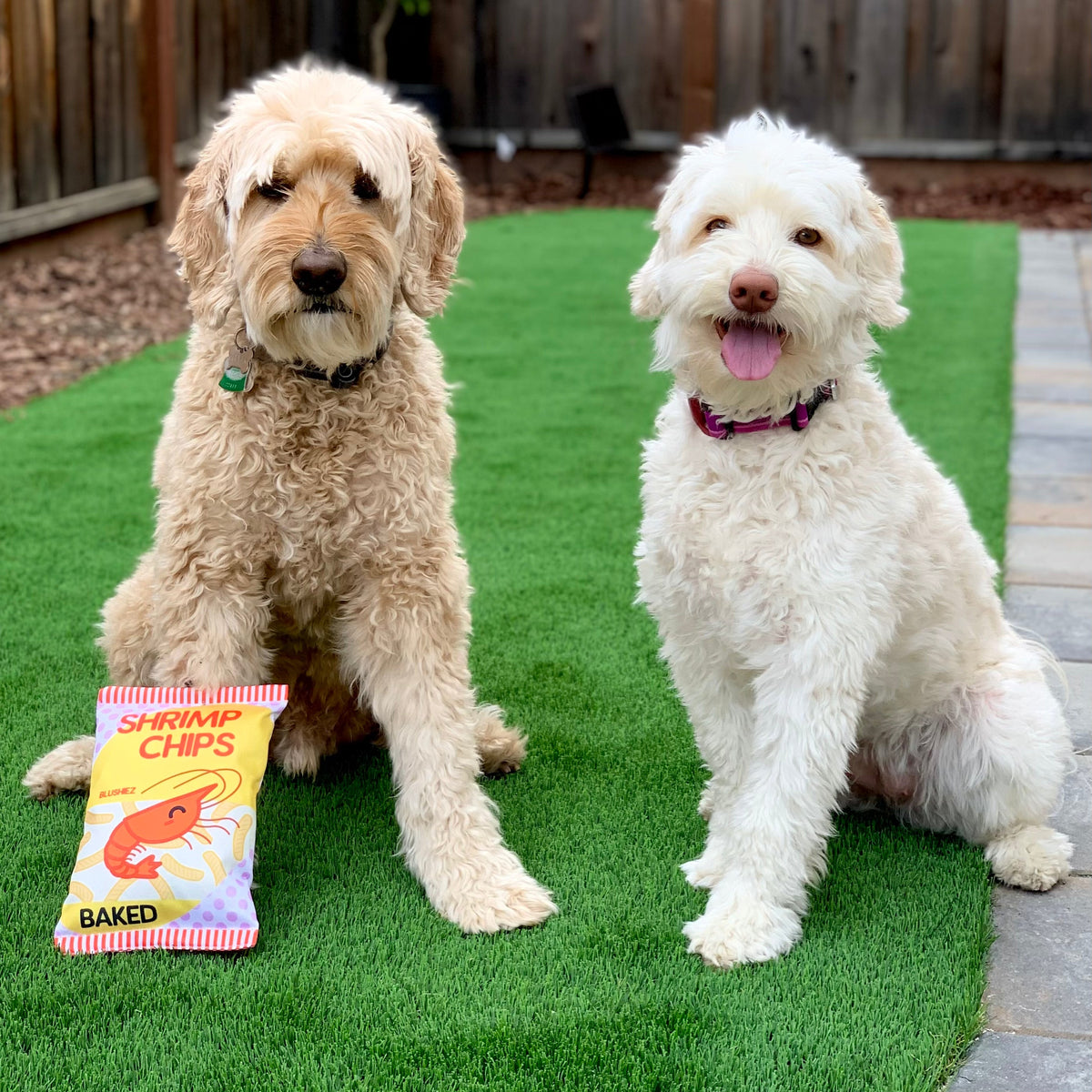 The Contraband Shrimp Chips — 2-Piece Crinkle Toy