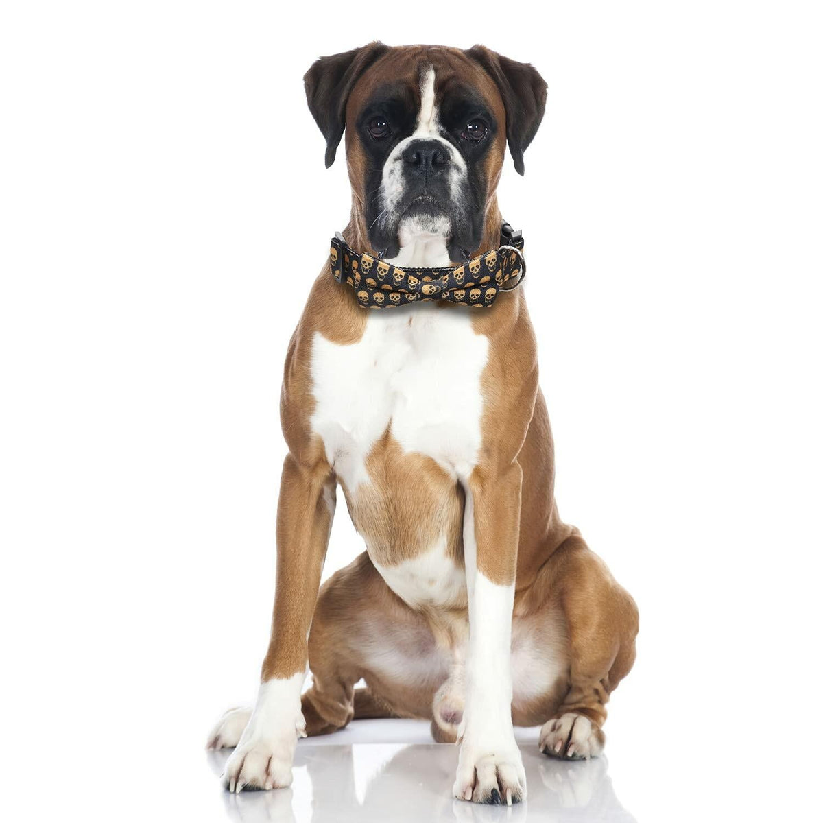 Lamphyface Halloween Dog Collar with Bow Tie