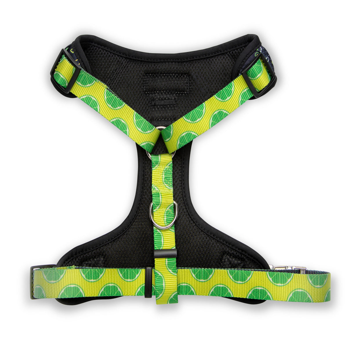 The Taco Tuesday Rambler — Retro Dog Harness