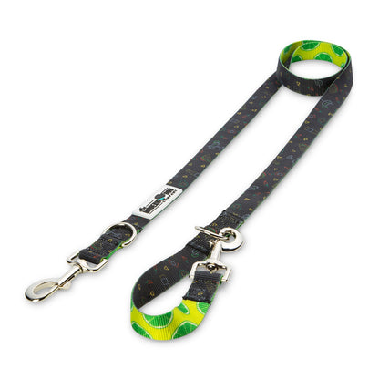 The Taco Tuesday Rambler — Retro Dog Leash