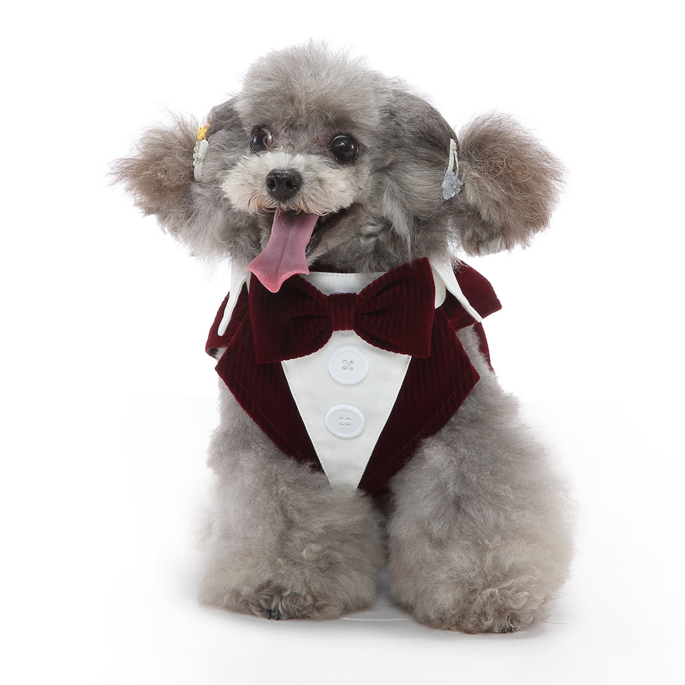 Pet Tuxedo Dress