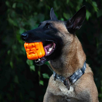 The Jack-o'-Gnawtern — Halloween Treat Toy