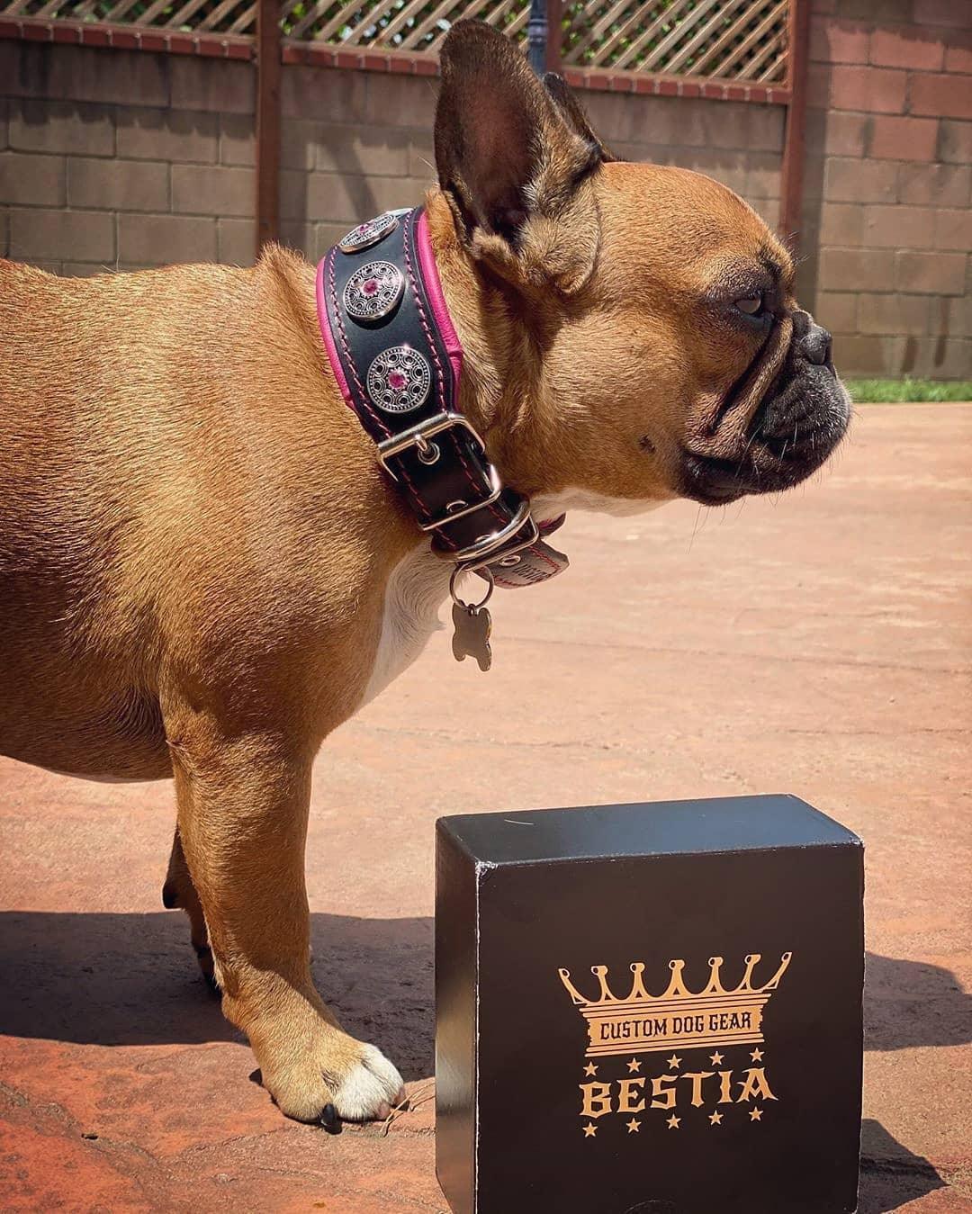 Bijou black and pink leather dog collar detail