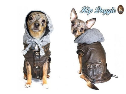 The Vintage Aviator — Bomber Dog Jacket