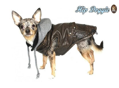 The Vintage Aviator — Bomber Dog Jacket