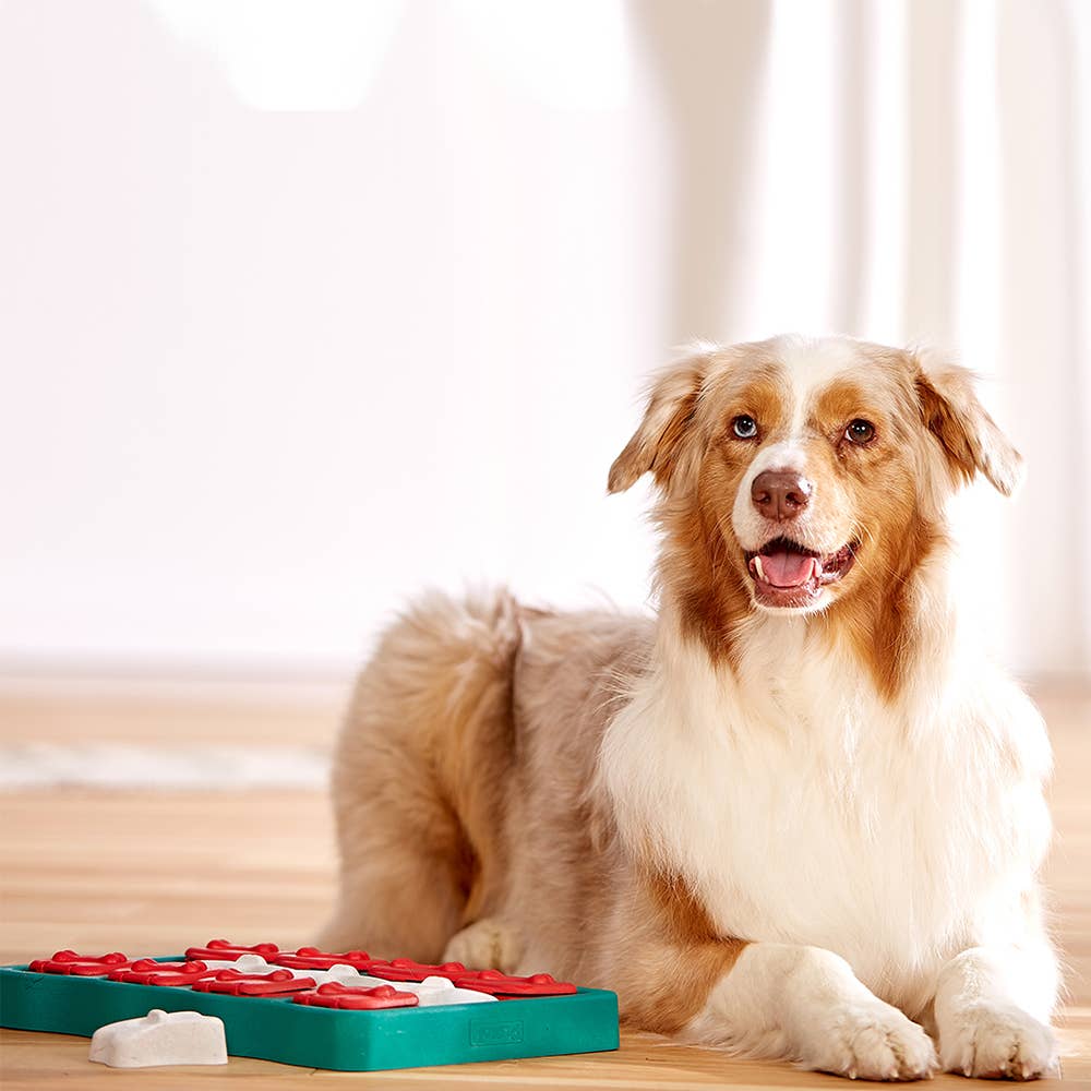 Nina Ottosson Dog Brick Treat Puzzle — Blue