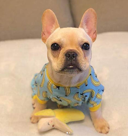 Everyday Dog Pajamas