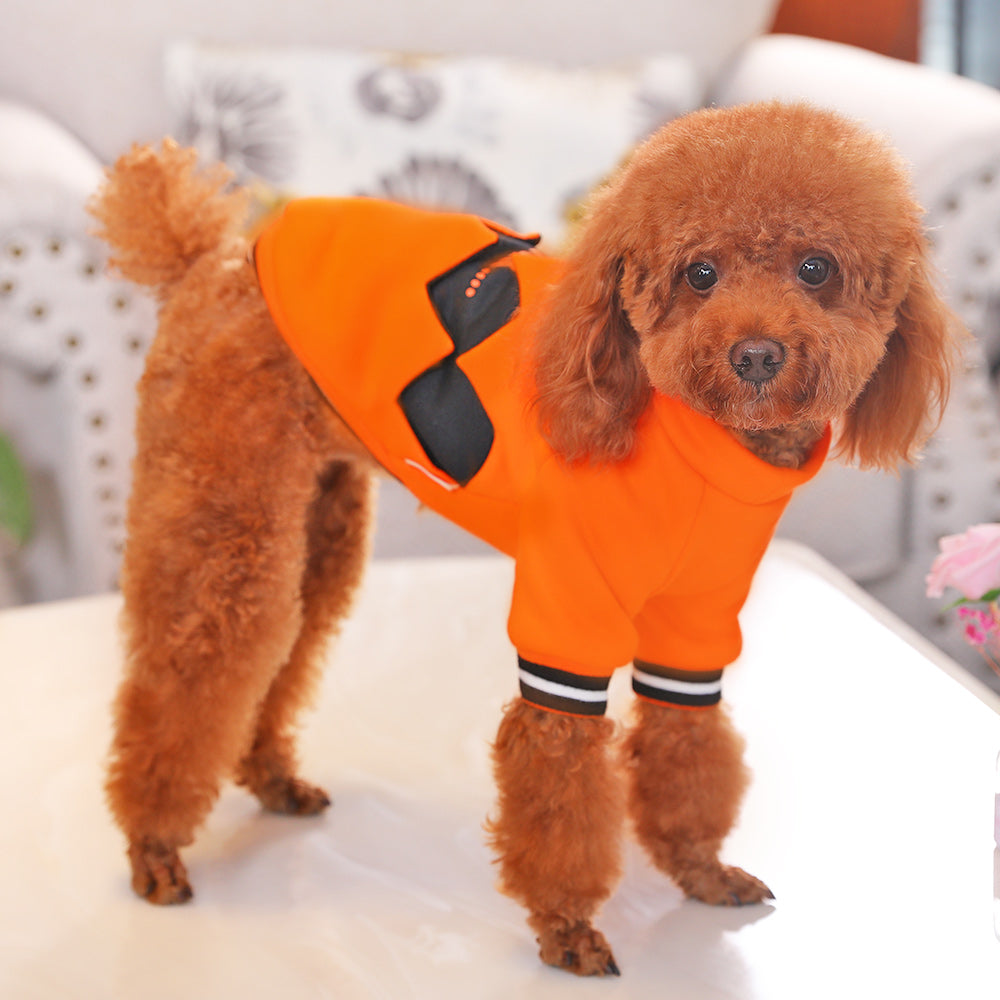 Pumpkin Pet Costume
