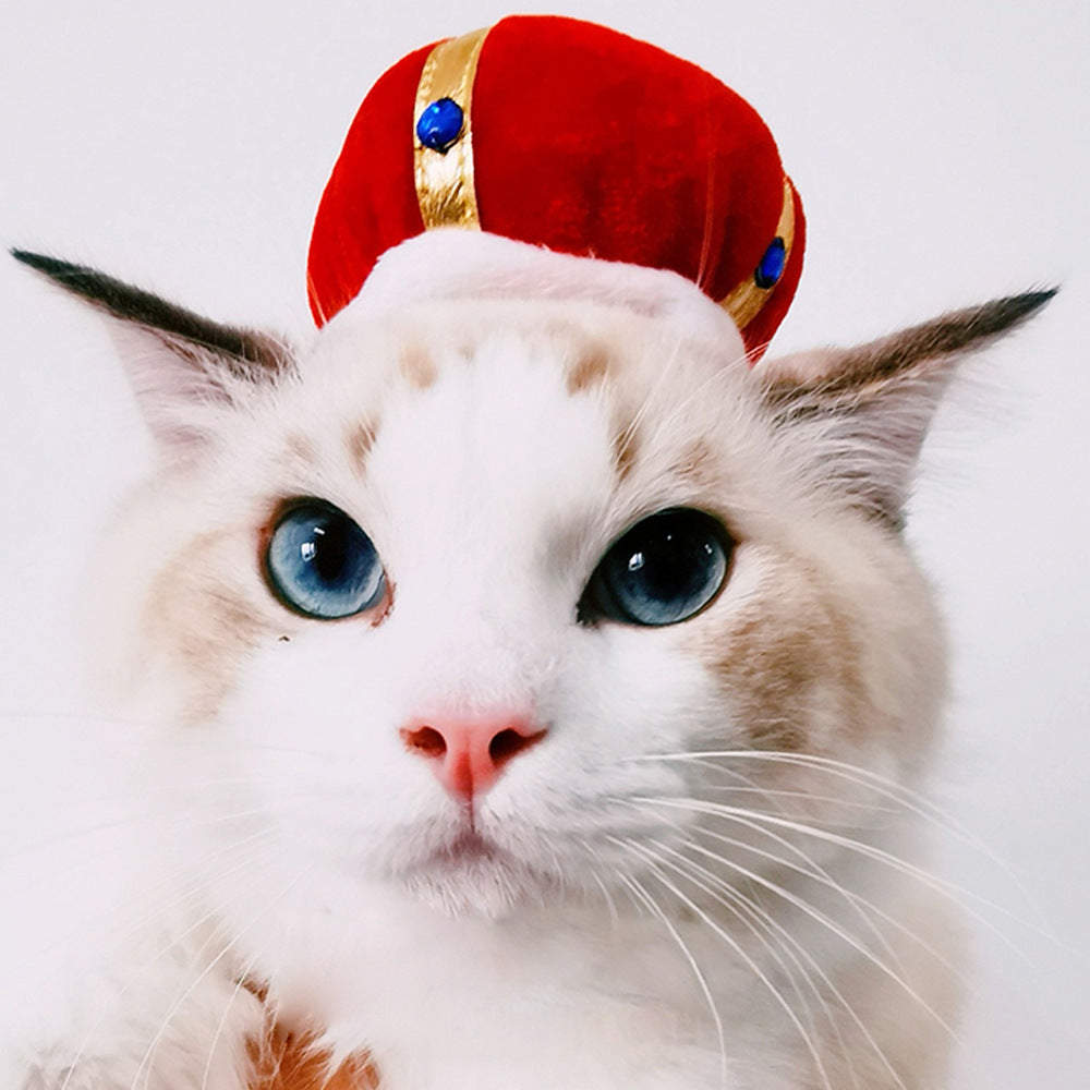 Cartoon Pet Costume Hat