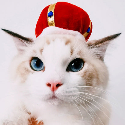 Cartoon Pet Costume Hat