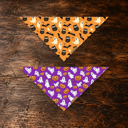 Raisingwell Halloween Dog Bandana — Large