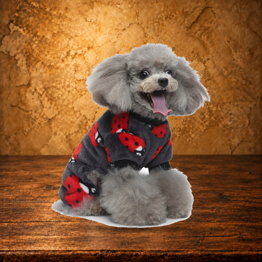 Plush Autumn Dog Pajamas displayed on the antique table