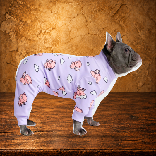 When Pigs Fly Dog Pajamas displayed on the antique table