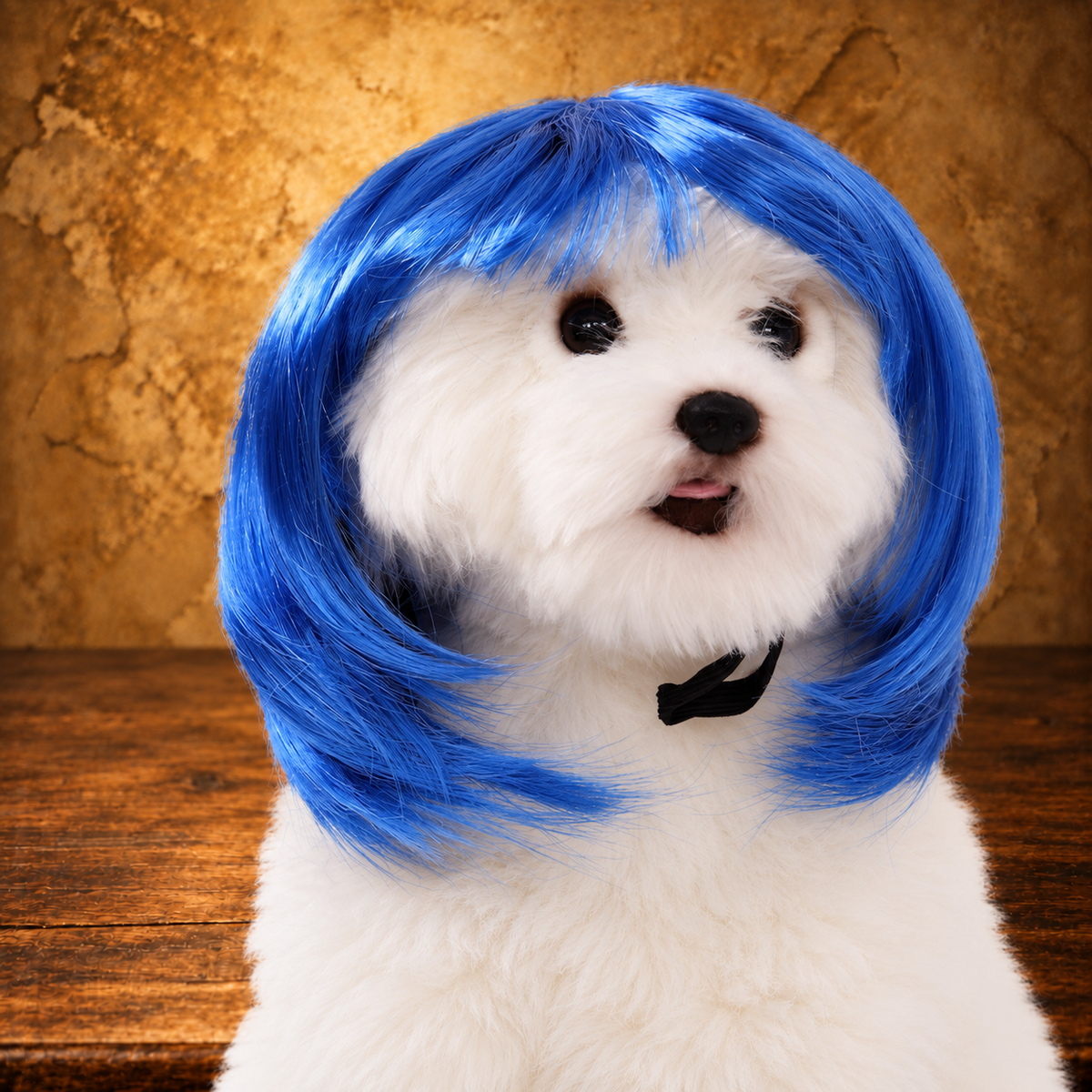 Halloween Pet Wig — antique display