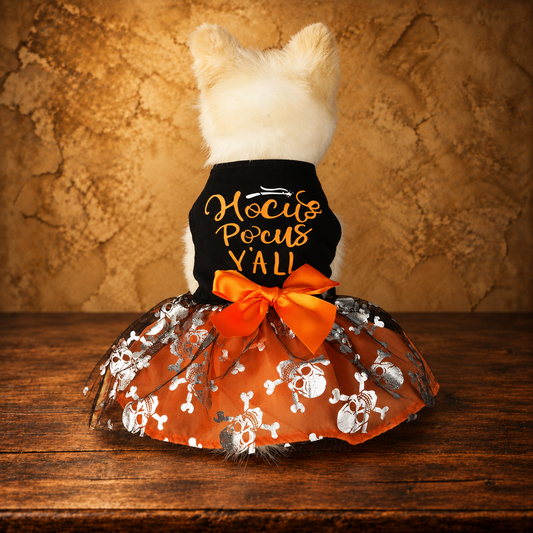 Black Skull Pet Costume — antique display