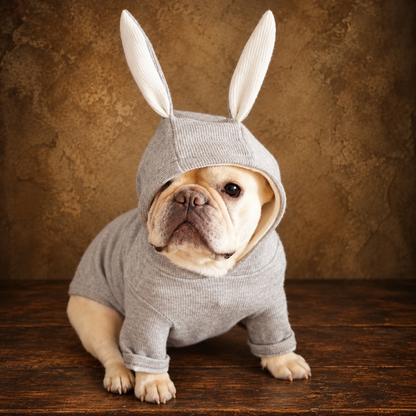 Rabbit Ear Knitted Dog Sweater — antique display