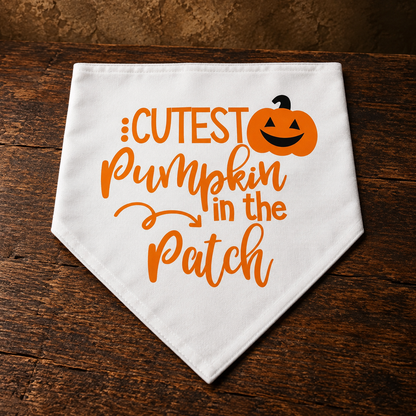 Cutest Pumpkin in the Patch Pet Bandana — antique display