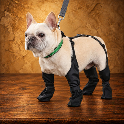 Adjustable Waterproof Dog Boots — antique display