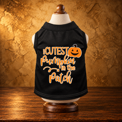 Cutest Pumpkin in the Patch Pet Shirt — antique display