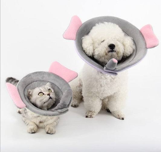 Flower Pet Recovery Collar