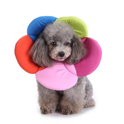 Flower Pet Recovery Collar
