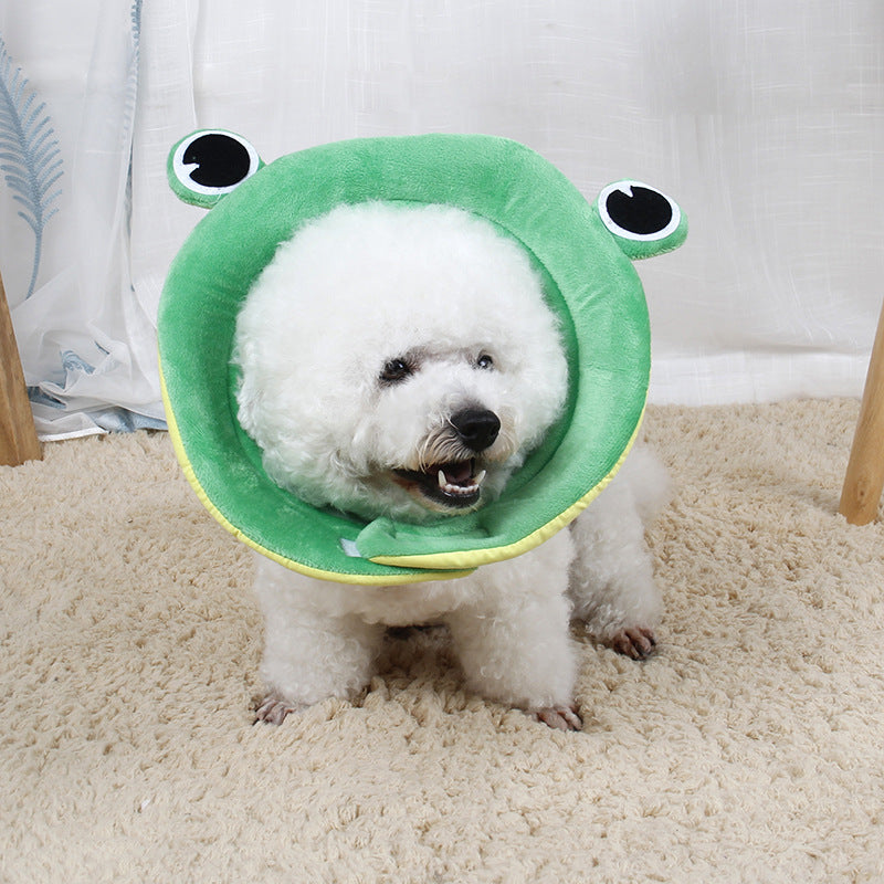Flower Pet Recovery Collar