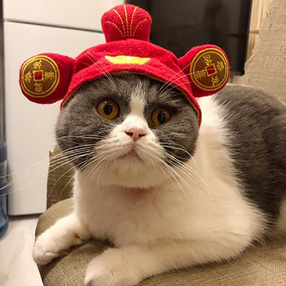 Cartoon Pet Costume Hat