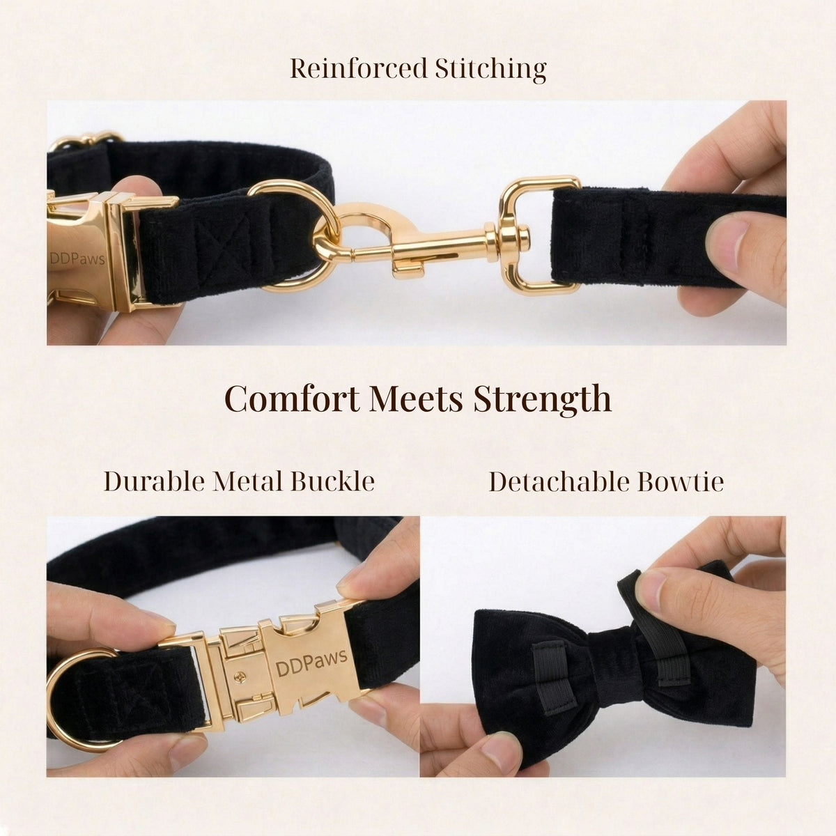 The Midnight Velvet Walking Set