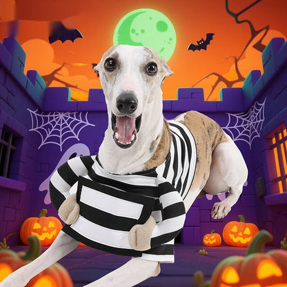The Striped Mischief — Dog Halloween Costume