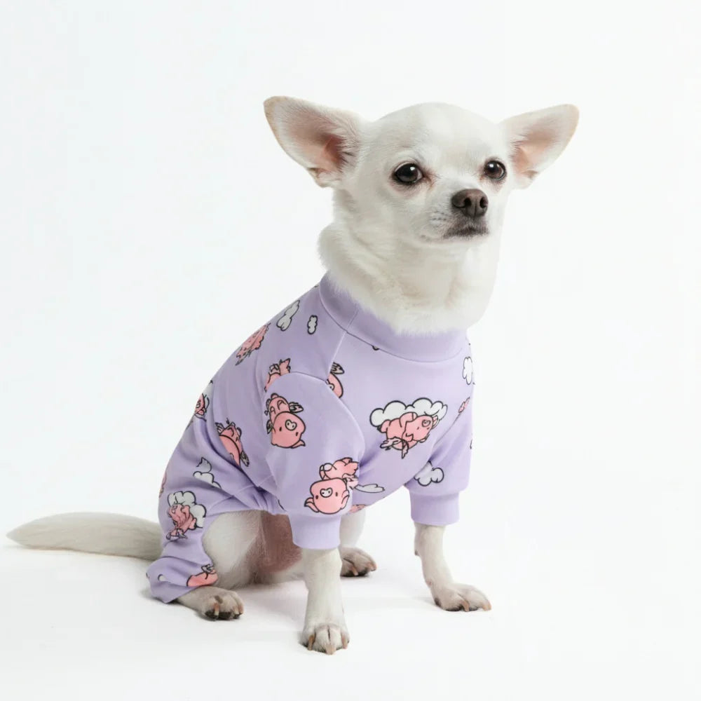 When Pigs Fly Dog Pajamas