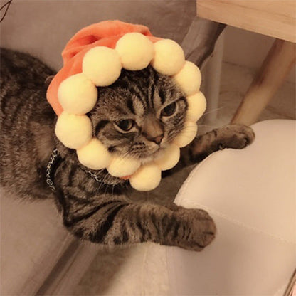 Cartoon Pet Costume Hat