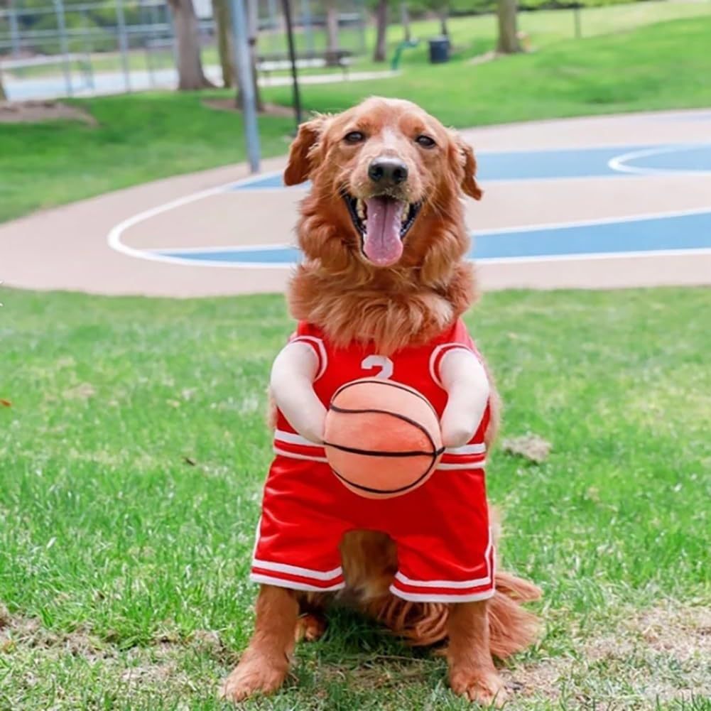 Basketball Dog Costume with Ball