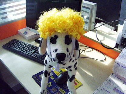 Pet Party Wig
