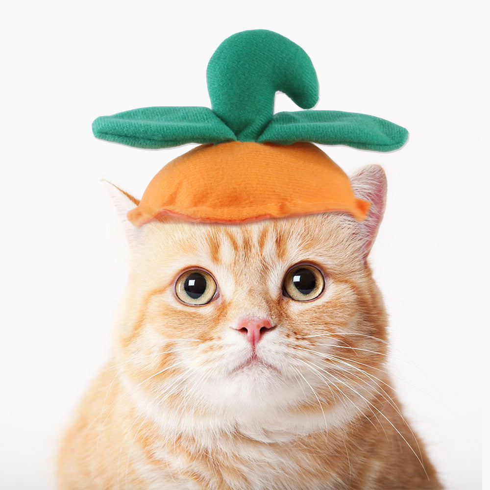 Cartoon Pet Costume Hat
