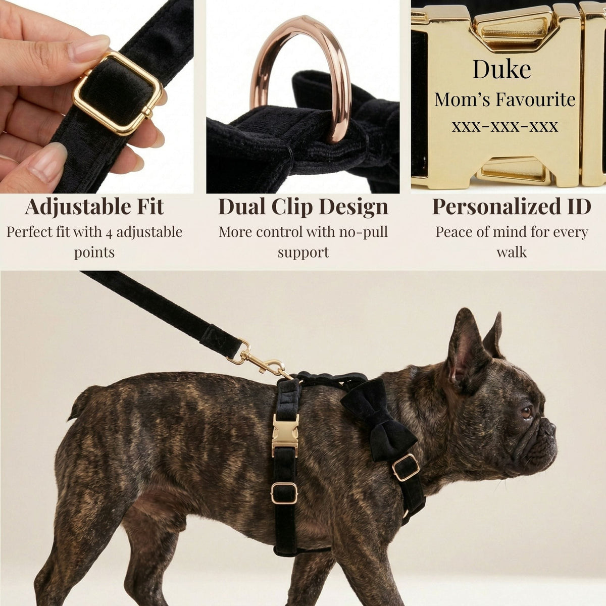 The Midnight Velvet Walking Set