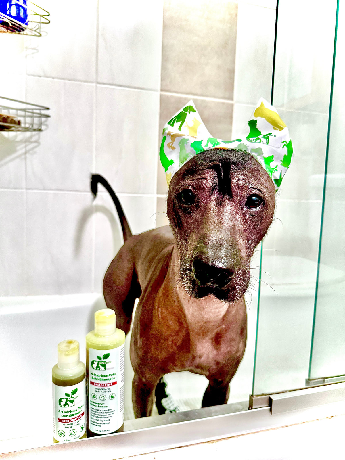ReNewedPet Shower, Ear & Sun Cap