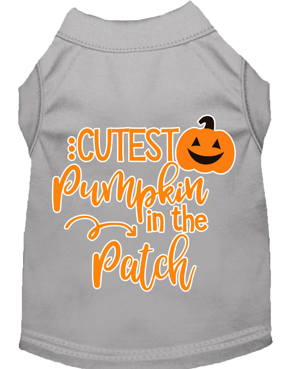 Cutest Pumpkin in the Patch Pet Shirt