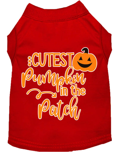 Cutest Pumpkin in the Patch Pet Shirt