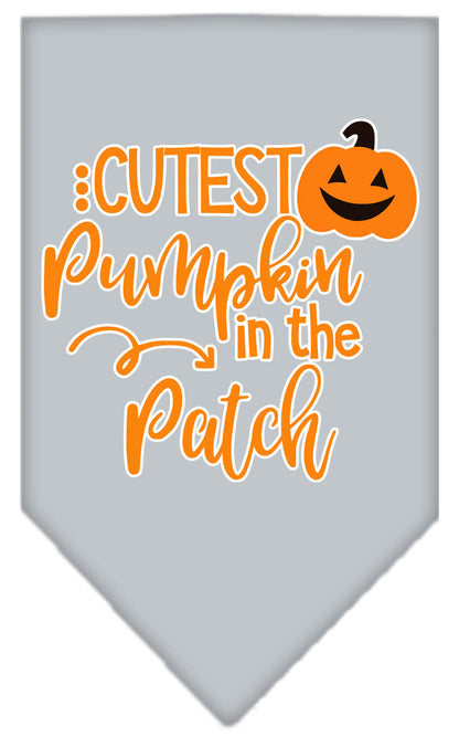 Cutest Pumpkin in the Patch Pet Bandana