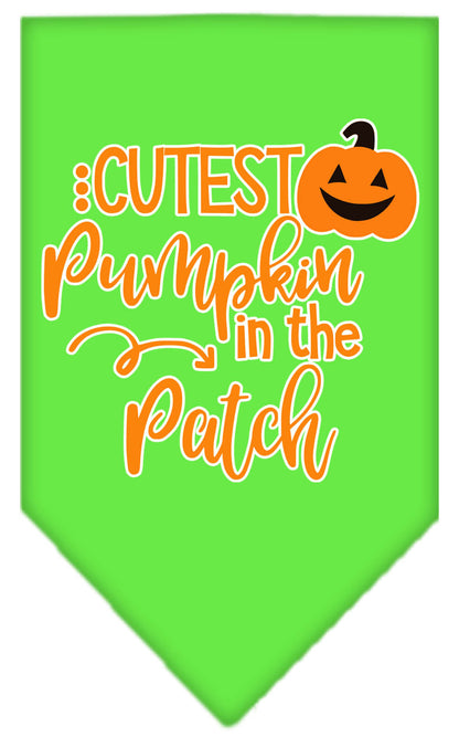 Cutest Pumpkin in the Patch Pet Bandana