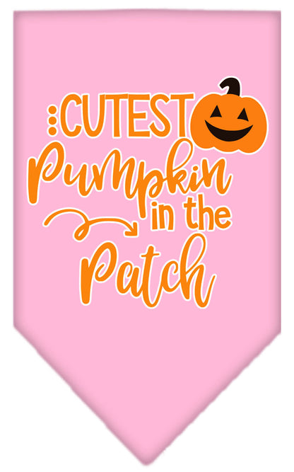 Cutest Pumpkin in the Patch Pet Bandana