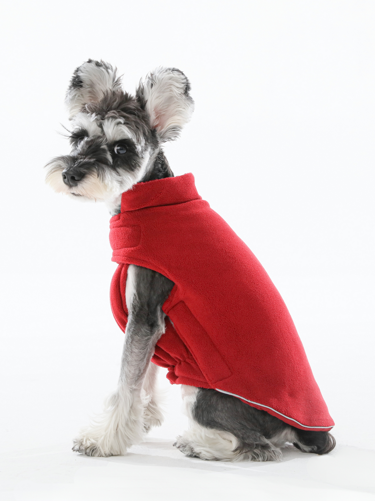 The Scarlet Rambler Reversible Dog Vest