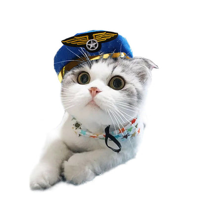 Cartoon Pet Costume Hat