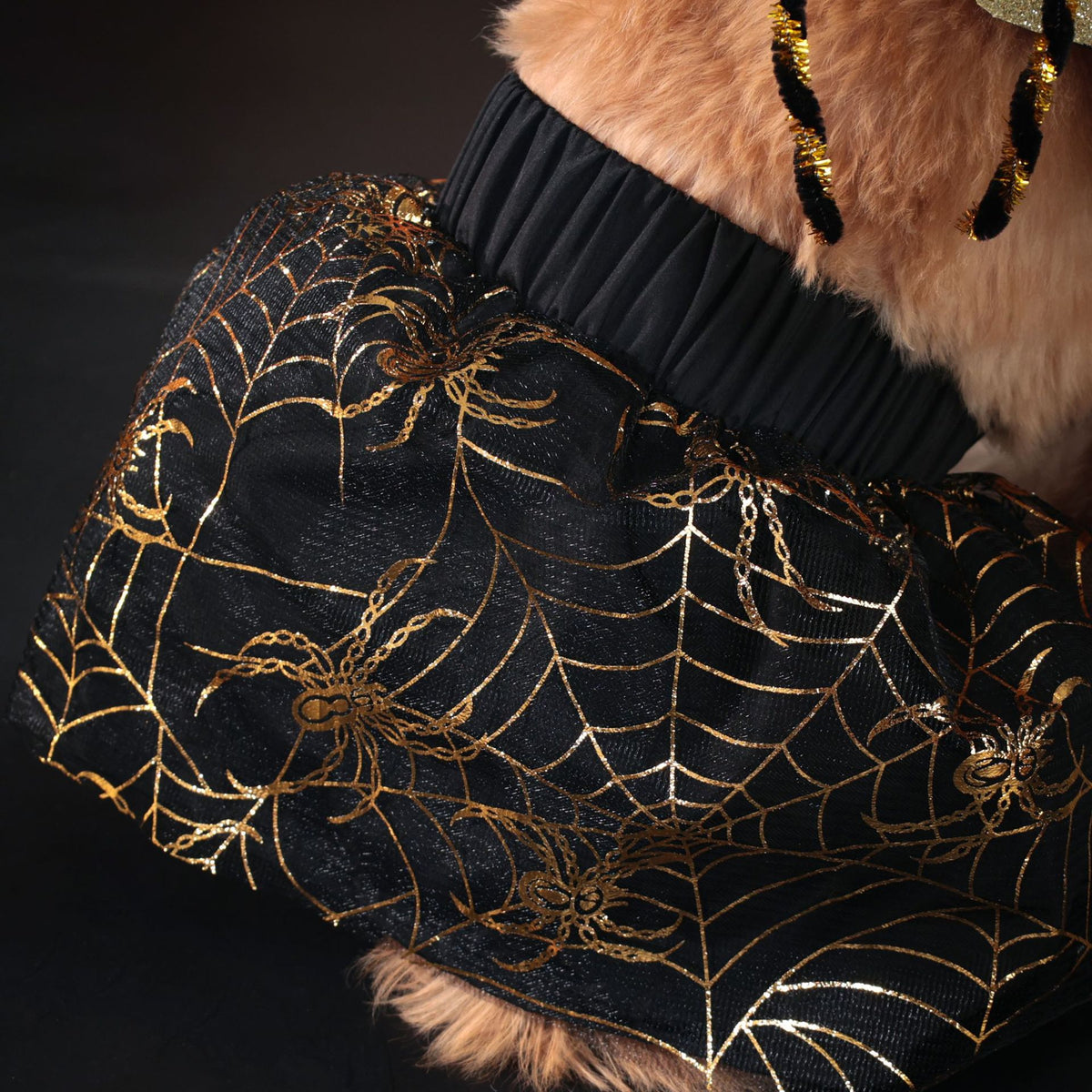 The Nocturne Formal Dog Suit