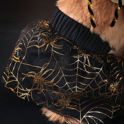 The Nocturne Formal Dog Suit